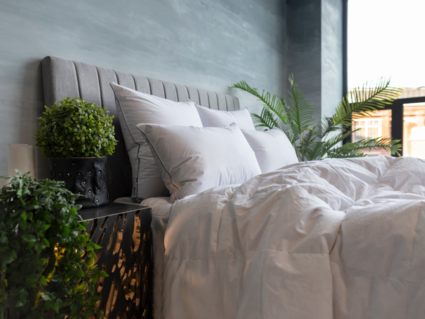 Подушка German Grass Gray Familie Down упругая 70х70