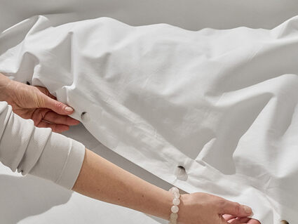 Комплект постельного белья Luxberry Вечерние стрекозы Семейный