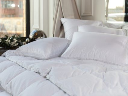 Подушка German Grass White Familie Down упругая 50х90