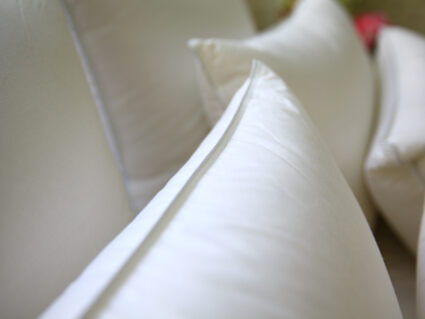 Подушка Nature’S-Natura Sanat Стандарт 70х70