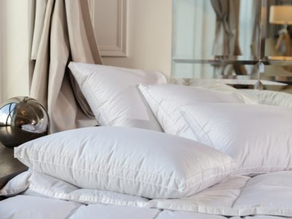 Подушка German Grass White Familie Down упругая 50х90