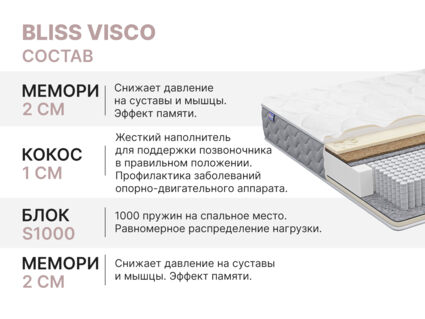 Матрас Димакс Bliss Visco 160х195