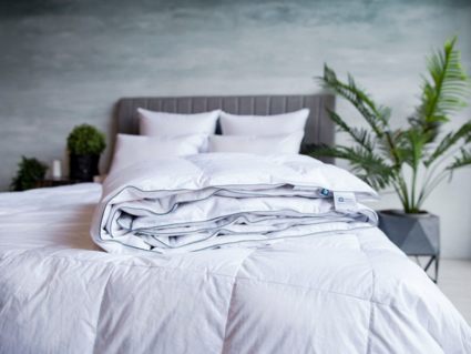 Одеяло German Grass Gray Familie Down всесезонное 220х240